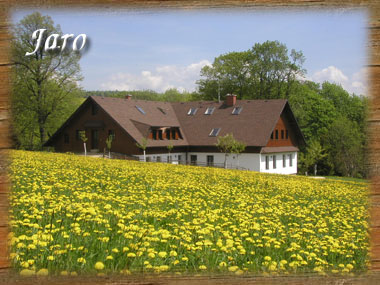 jaro v Orlických horách